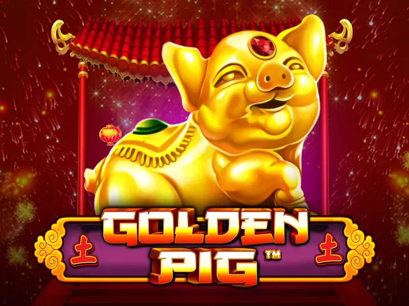 Golden Pig