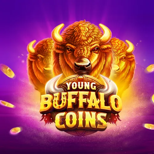 Young Buffalo Coins