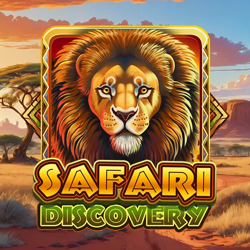 Safari Discovery