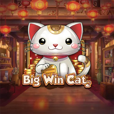 Big Win Cat